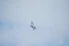 JAS-39 Gripen - Svédország